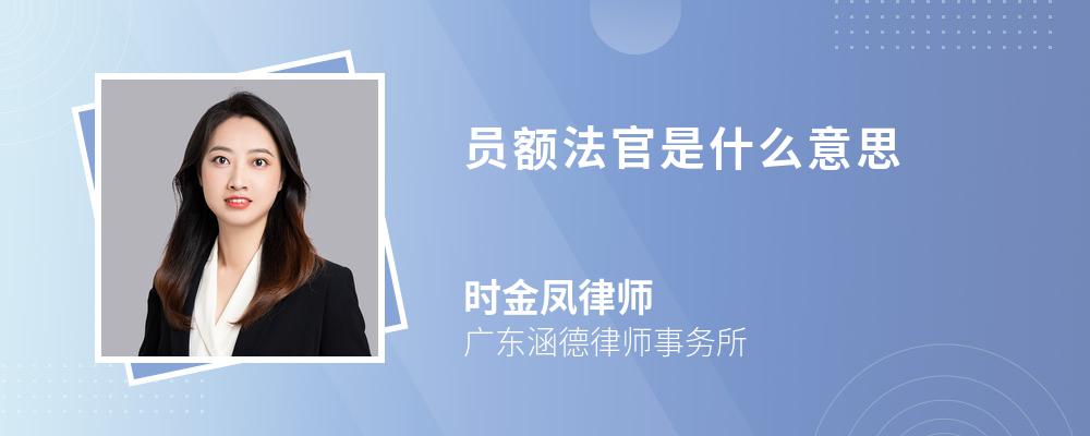 员额法官是什么意思