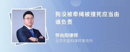 狗没被牵绳被撞死应当由谁负责