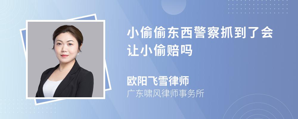 小偷偷东西警察抓到了会让小偷赔吗