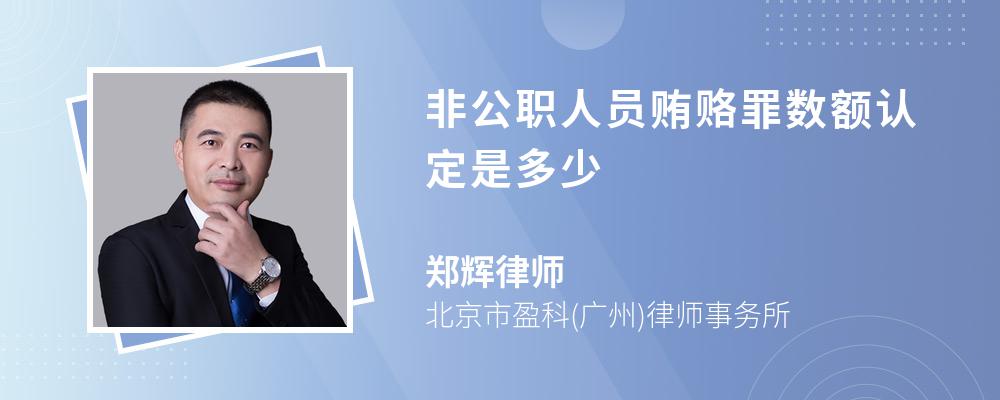 非公职人员贿赂罪数额认定是多少