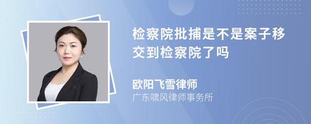 检察院批捕是不是案子移交到检察院了吗