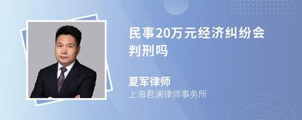 民事20万元经济纠纷会判刑吗