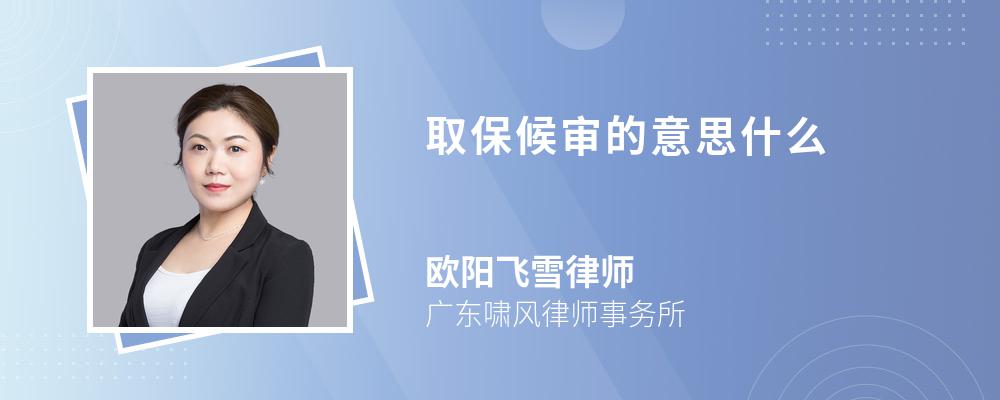 取保候审的意思什么