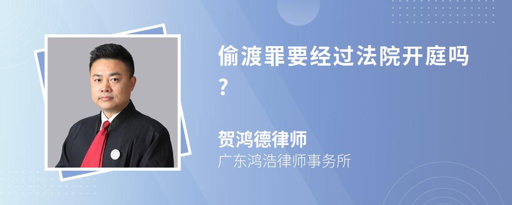 偷渡罪要经过法院开庭吗?