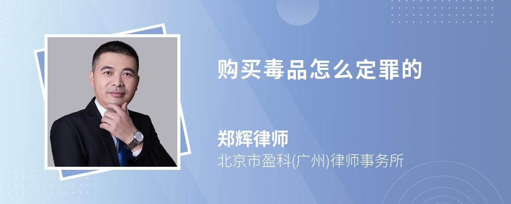 购买毒品怎么定罪的