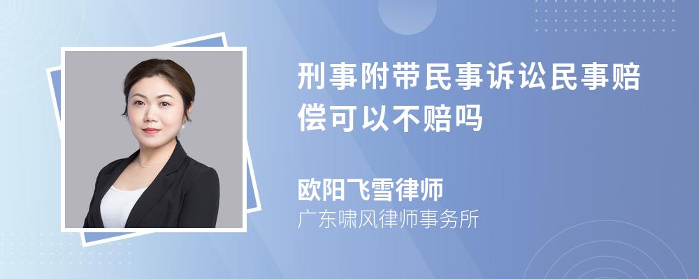 刑事附带民事诉讼民事赔偿可以不赔吗