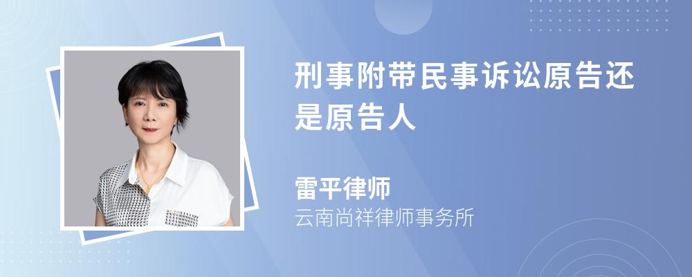 刑事附带民事诉讼原告还是原告人