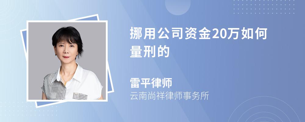 挪用公司资金20万如何量刑的