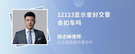 12123显示查封交警会扣车吗