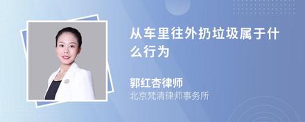 从车里往外扔垃圾属于什么行为