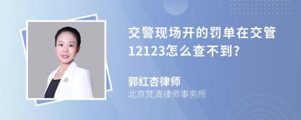 交警现场开的罚单在交管12123怎么查不到?