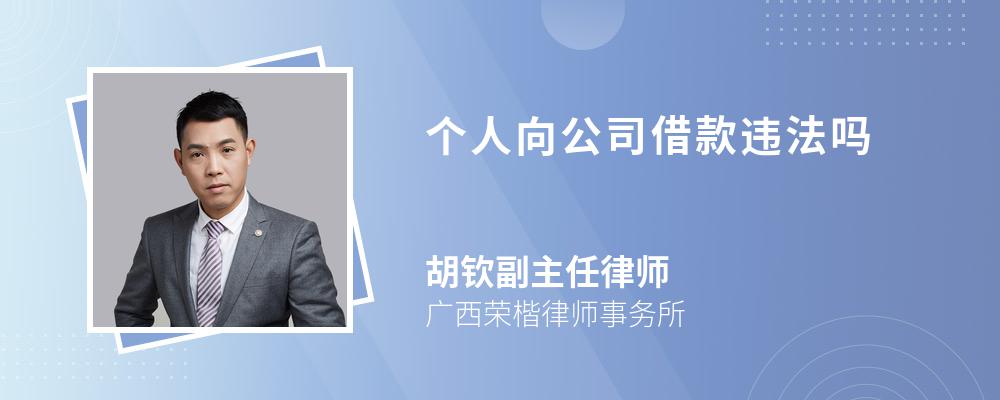 个人向公司借款违法吗