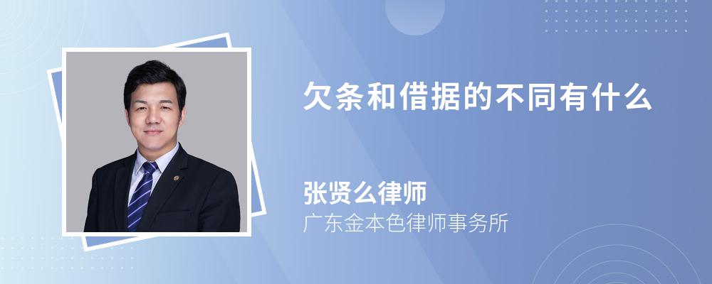 欠条和借据的不同有什么