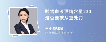 醉驾血液酒精含量230是否要被从重处罚