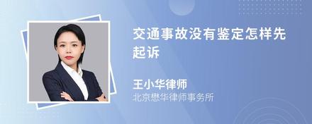 交通事故没有鉴定怎样先起诉