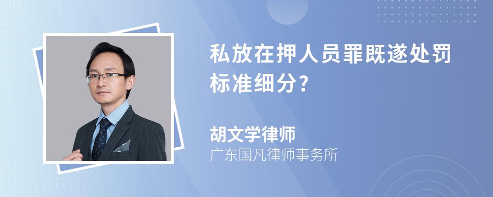 私放在押人员罪既遂处罚标准细分?