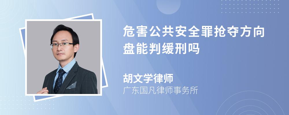 危害公共安全罪抢夺方向盘能判缓刑吗