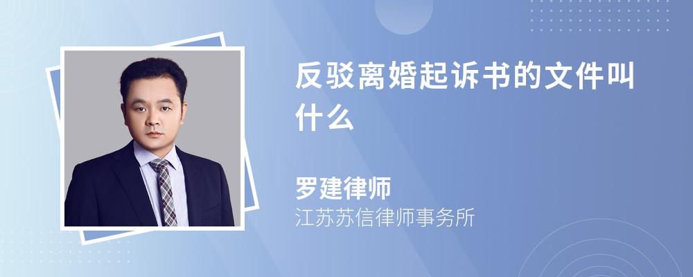 反驳离婚起诉书的文件叫什么