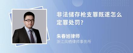 非法储存枪支罪既遂怎么定罪处罚?