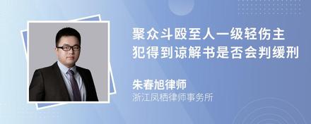 聚众斗殴至人一级轻伤主犯得到谅解书是否会判缓刑