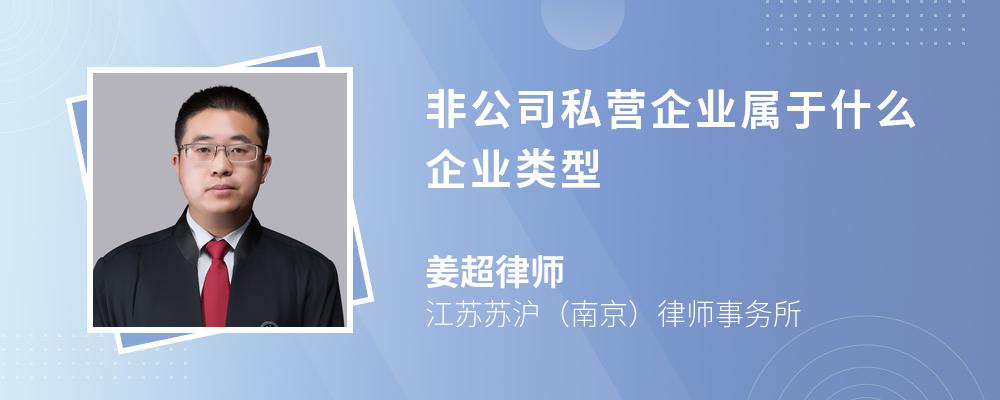 非公司私营企业属于什么企业类型