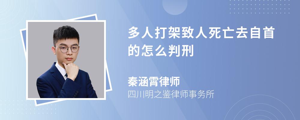 多人打架致人死亡去自首的怎么判刑