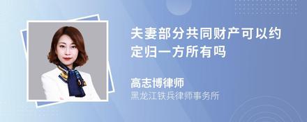 夫妻部分共同财产可以约定归一方所有吗