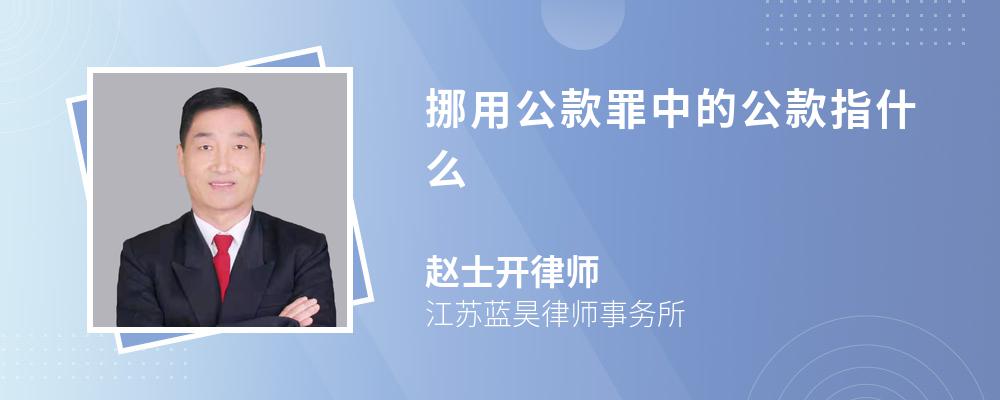 挪用公款罪中的公款指什么