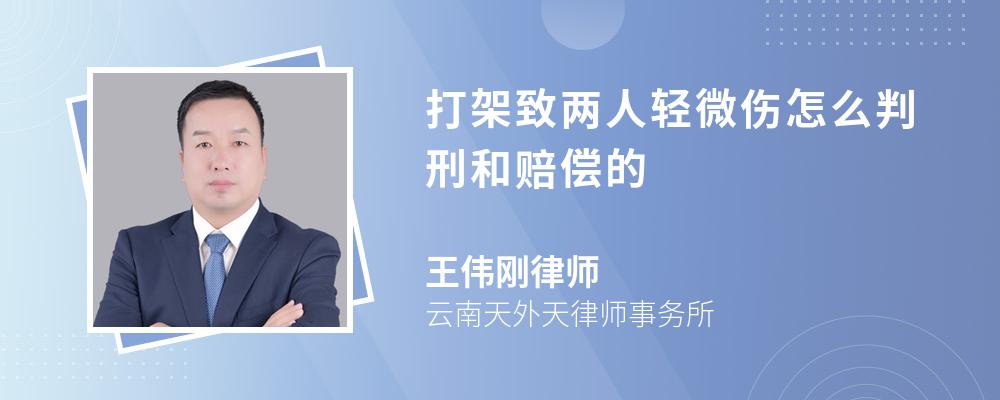 打架致两人轻微伤怎么判刑和赔偿的