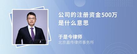 公司的注册资金500万是什么意思