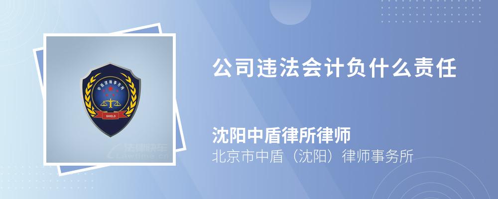 公司违法会计负什么责任