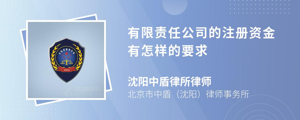 有限责任公司的注册资金有怎样的要求