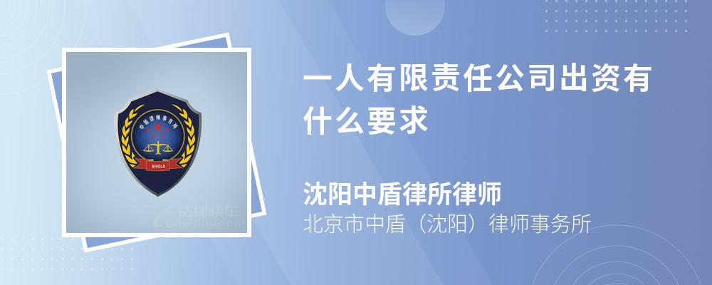 一人有限责任公司出资有什么要求