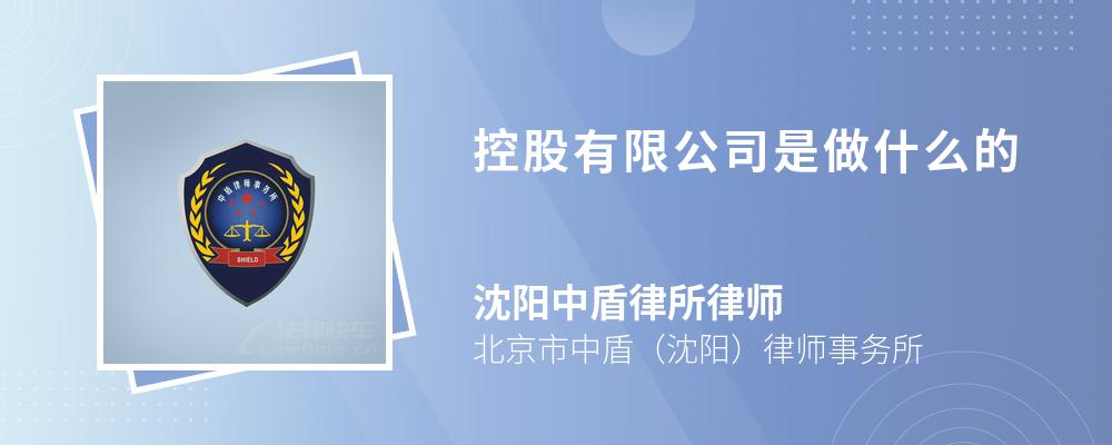 控股有限公司是做什么的