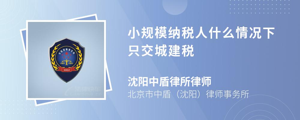 小规模纳税人什么情况下只交城建税