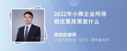 2022年小微企业所得税优惠政策是什么