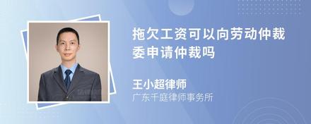 拖欠工资可以向劳动仲裁委申请仲裁吗