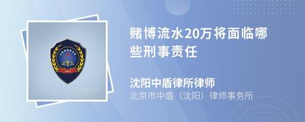 赌博流水20万将面临哪些刑事责任