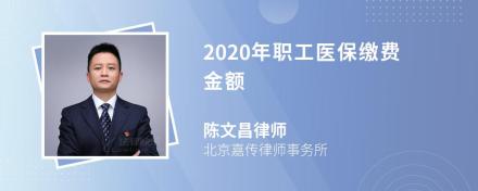 2020年职工医保缴费金额