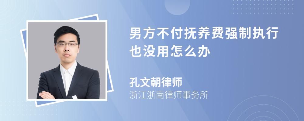 男方不付抚养费强制执行也没用怎么办