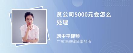 贪公司5000元会怎么处理