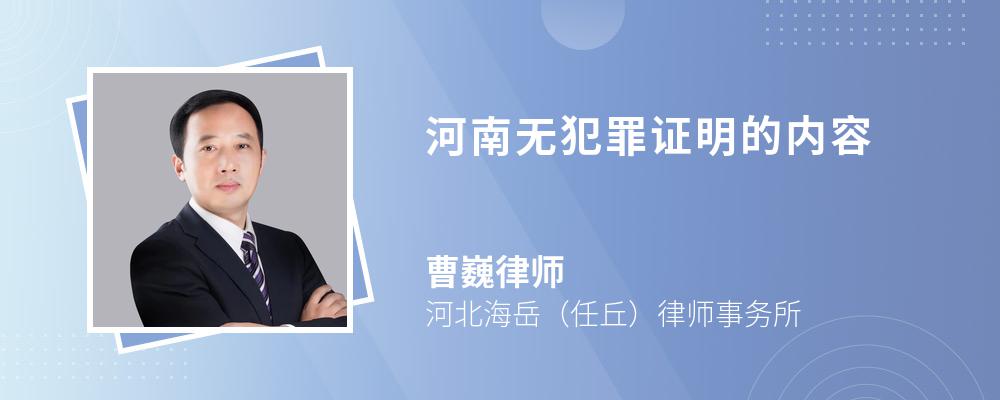 河南无犯罪证明的内容