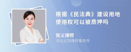 根据《民法典》建设用地使用权可以被质押吗