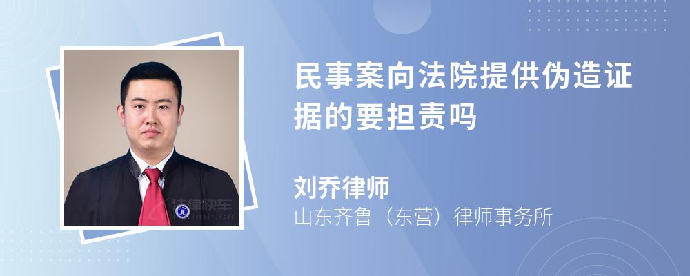 民事案向法院提供伪造证据的要担责吗