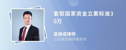 套取国家资金立案标准30万