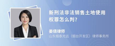 新刑法非法销售土地使用权罪怎么判?