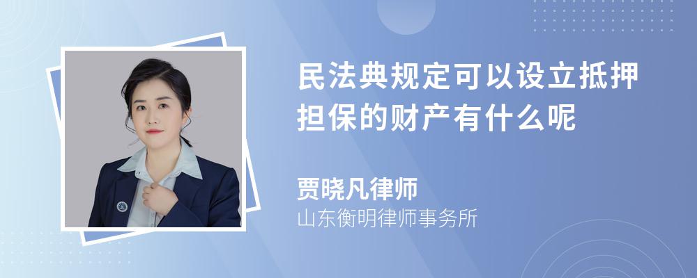 民法典规定可以设立抵押担保的财产有什么呢