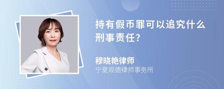 持有假币罪可以追究什么刑事责任?