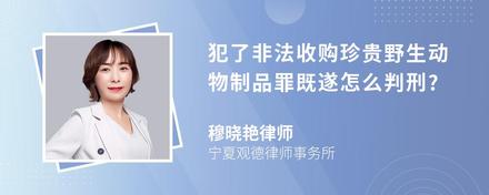 犯了非法收购珍贵野生动物制品罪既遂怎么判刑?