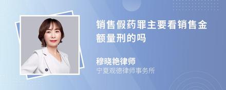 销售假药罪主要看销售金额量刑的吗